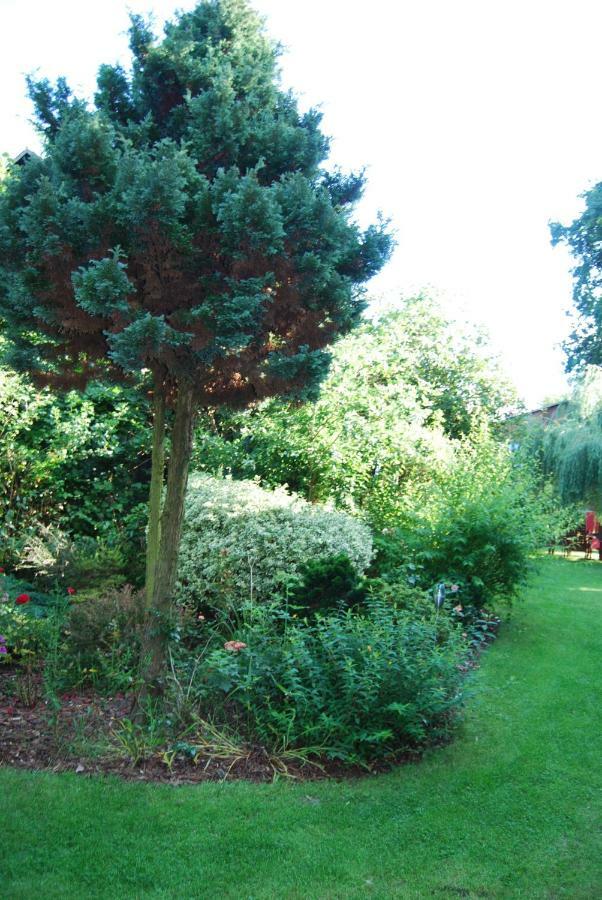 Ferienwohnung Aronia Warlow Esterno foto